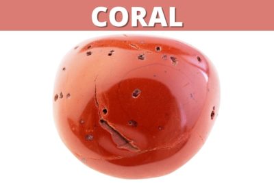 Coral Significado, Propiedades y Usos