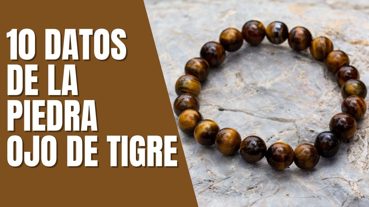 Piedra Ojo de Tigre 10 Datos Interesantes De La Piedra Ojo de Tigre