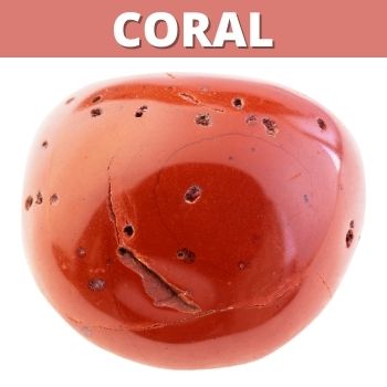 Coral Propiedades